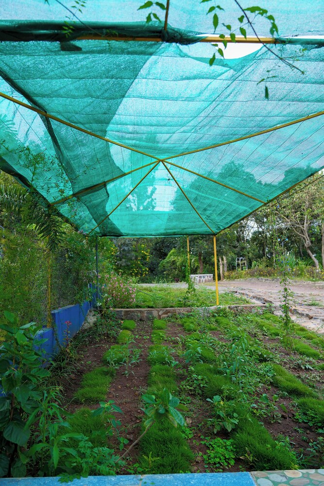 BlueHill Lotus Holistic Wellness Village