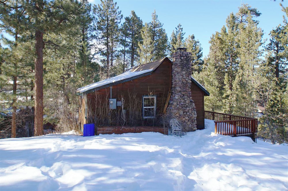 Snow Bunny Lodge