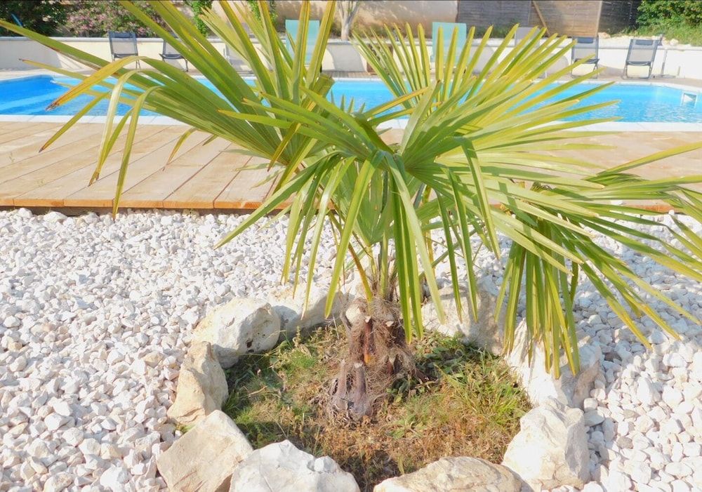 Photo 48