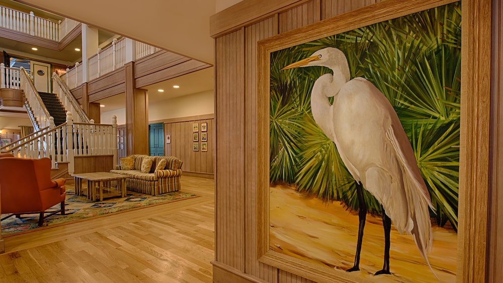 Disney's Vero Beach Resort, Zdjęcie 6