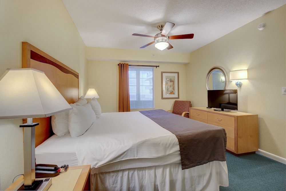 Daytona Beach VII