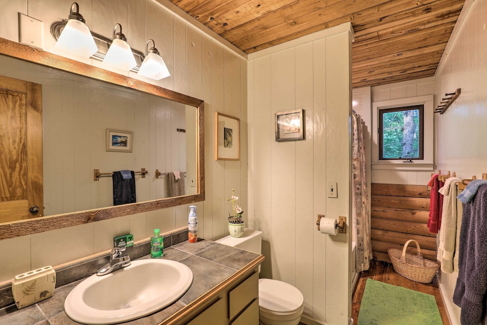 Serene Brevard Cabin ~ 7 Miles to State Forest! view 5