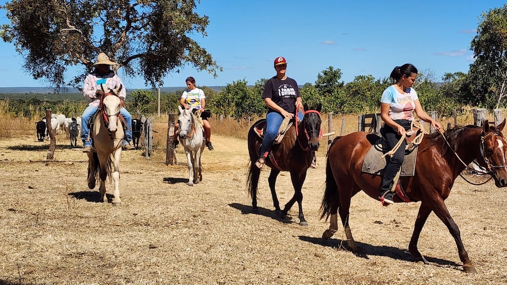Fazenda Serra Negra - Terra Ronca