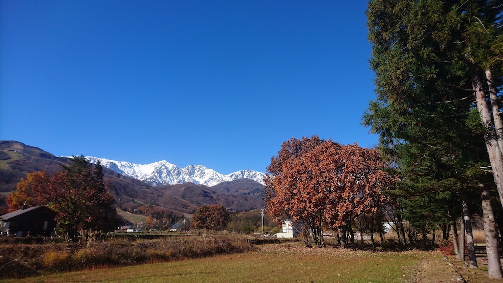 Reposer Hakuba