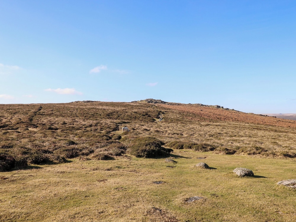 Black Hill View