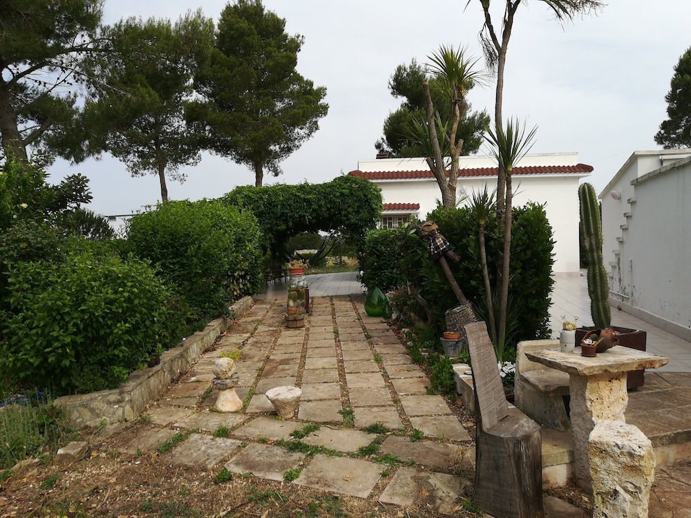 Photo 44