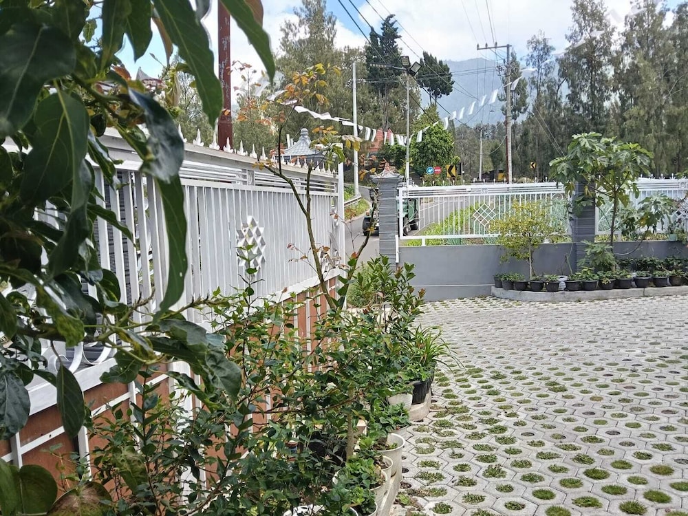 Pulmo Guesthouse Bromo