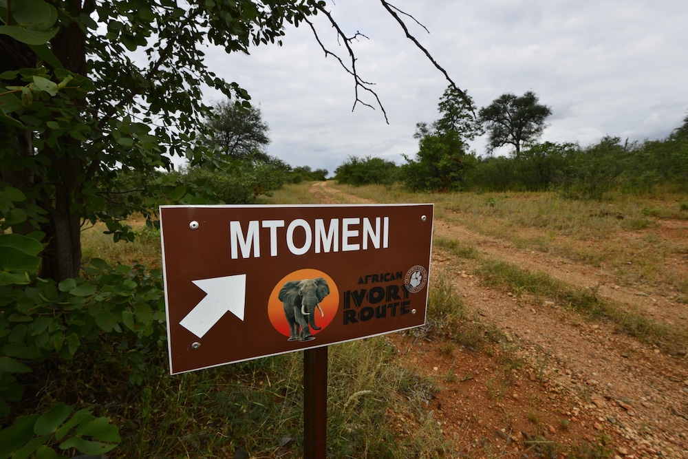 Mtomeni Safari Camp
