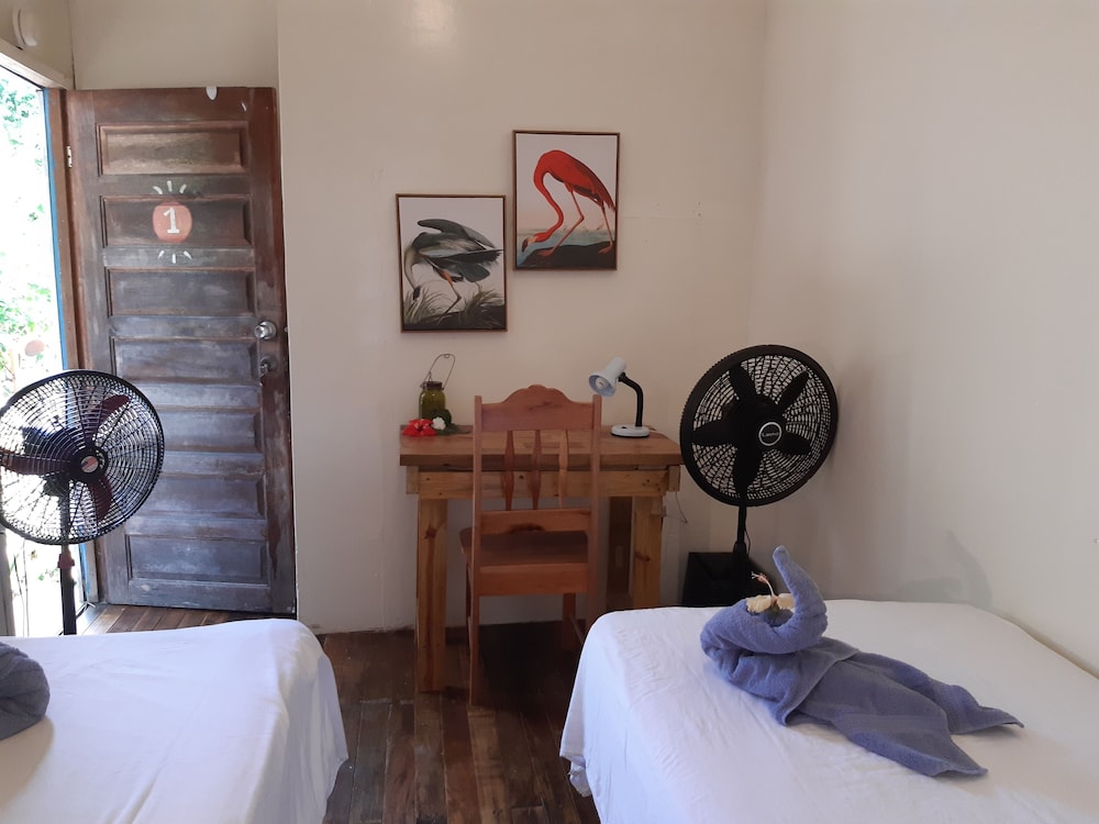 The Funky Dodo Backpackers