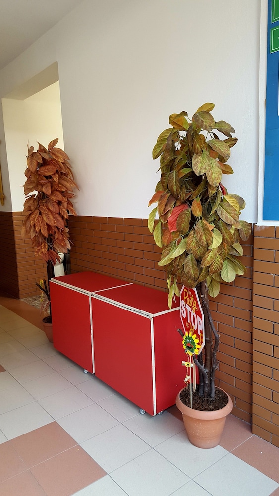 Home Hostel photo 2