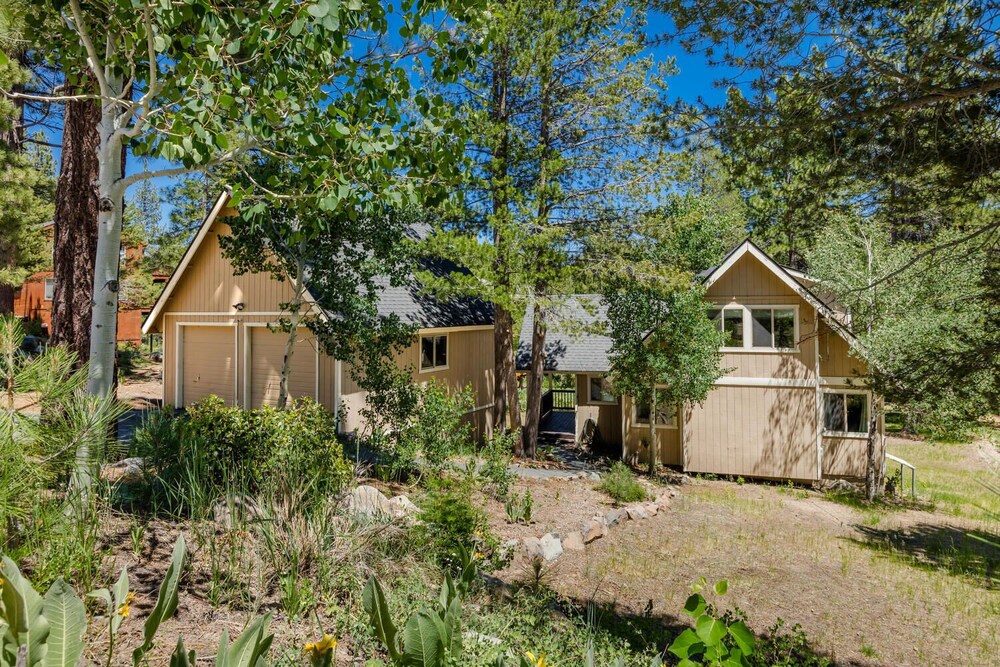Alder Creek Paradise - Tree-lined Cabin Stay for 7