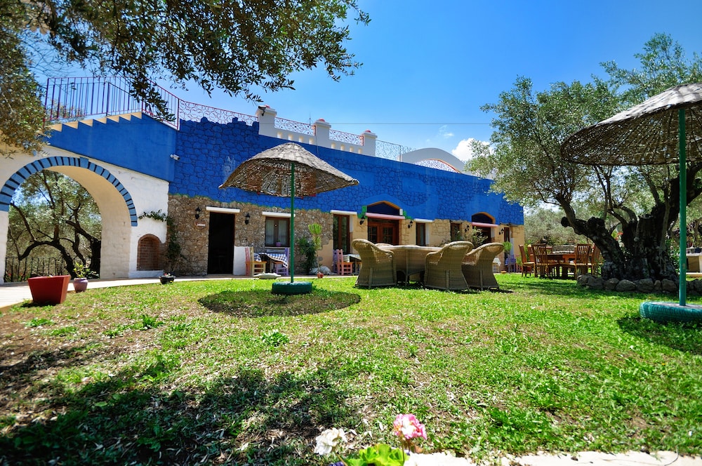 Olive Farm Of Datca