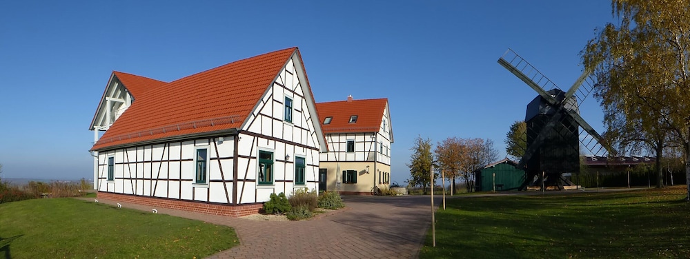 Photo 16