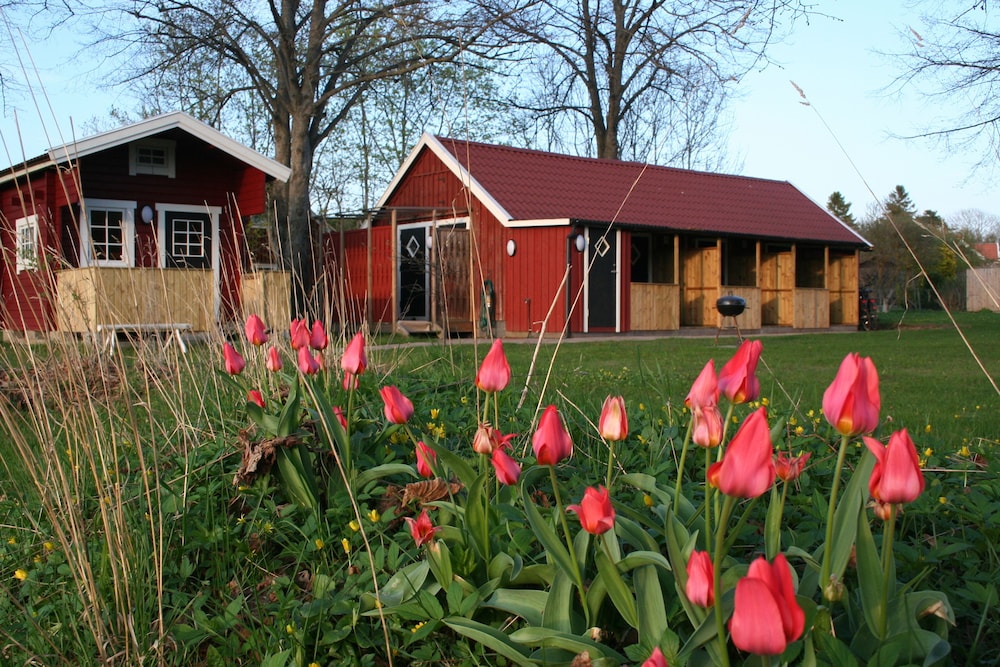 Edith & Julia Bed and Breakfast