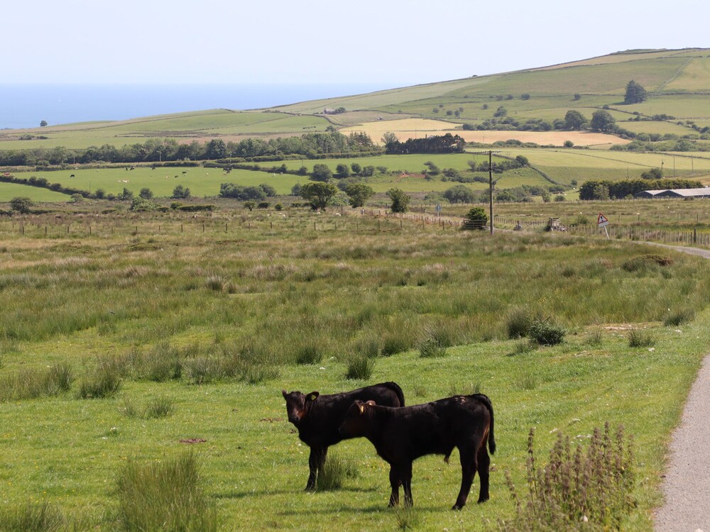 Cwm Ceiliog Annex