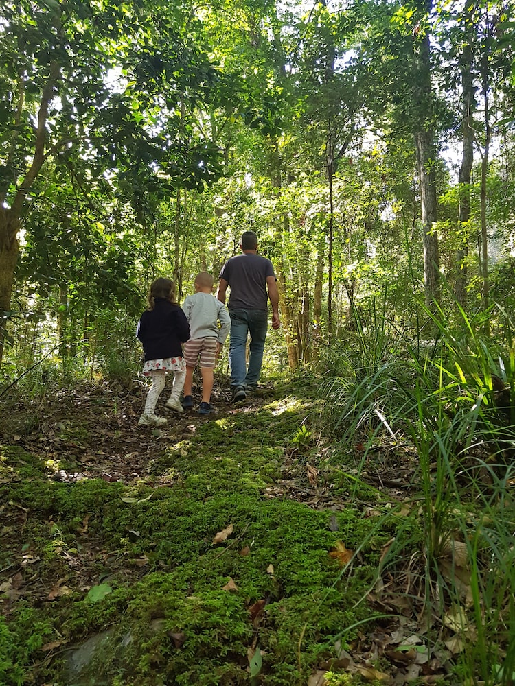 Carawirry Forest Escape