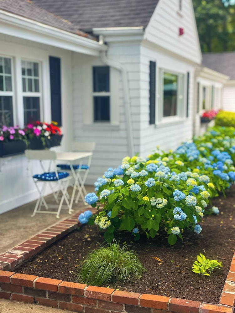 Cape Cod Motor Inn