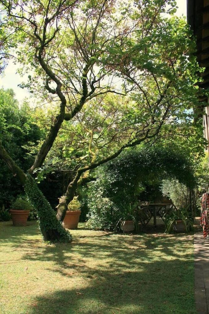 Photo 36