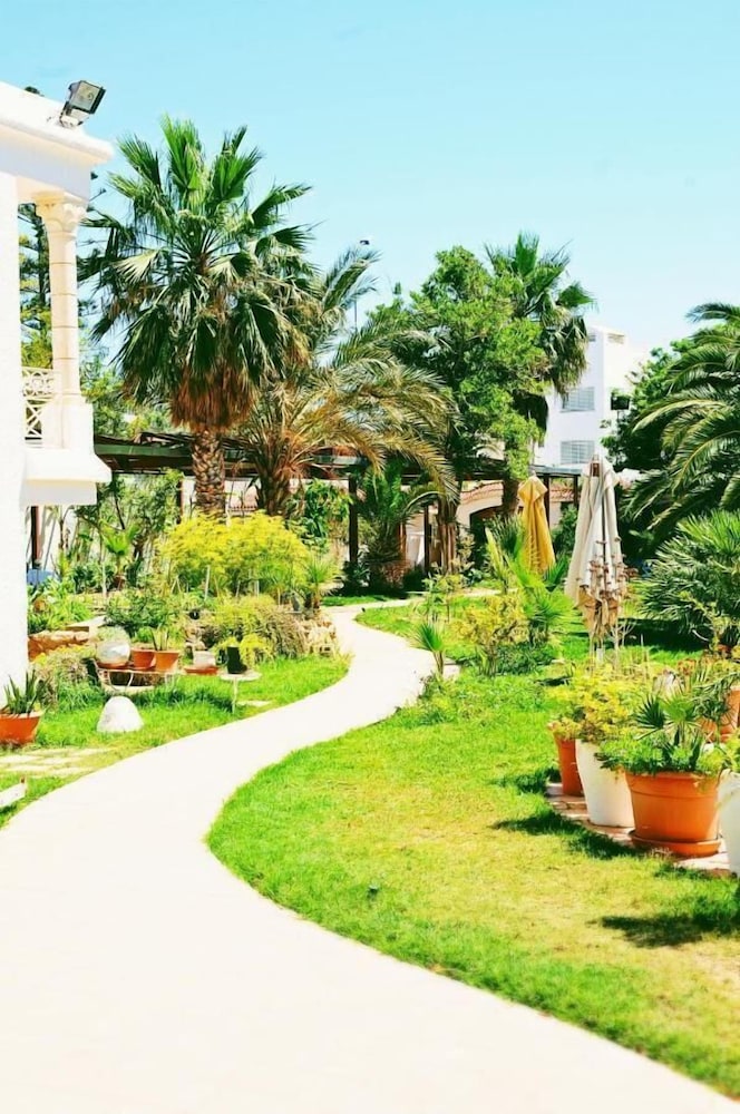 Dar Kamy, photo 11