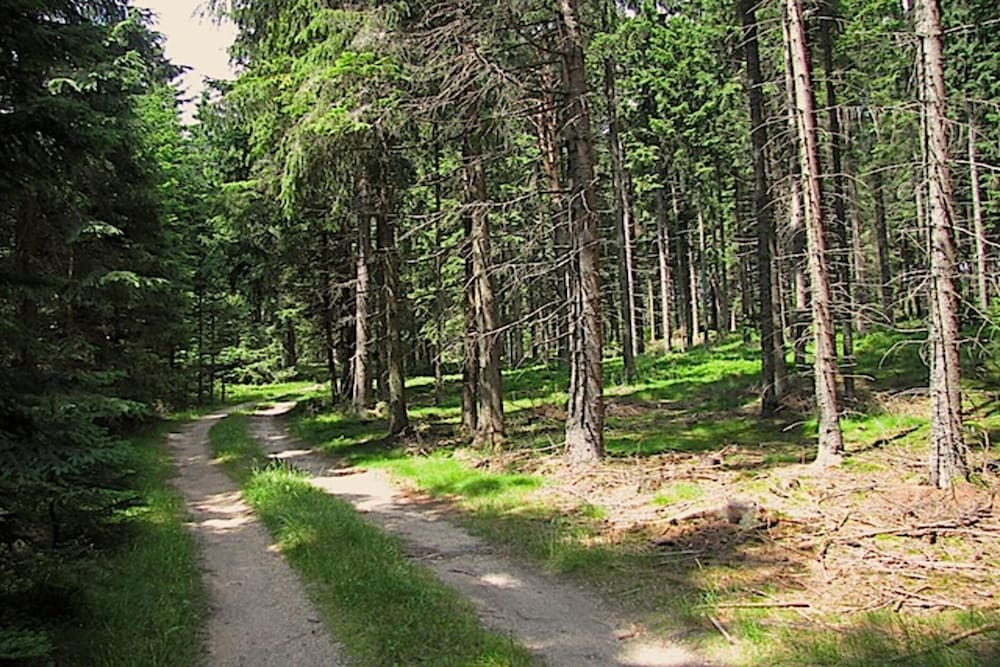 Holiday Home in Altmelon Near Weinsberg Forest