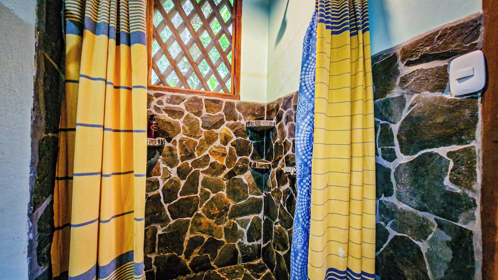 Casa Auratus