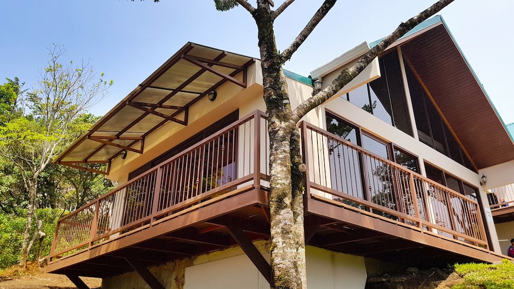 Green Forest Vacations Homes