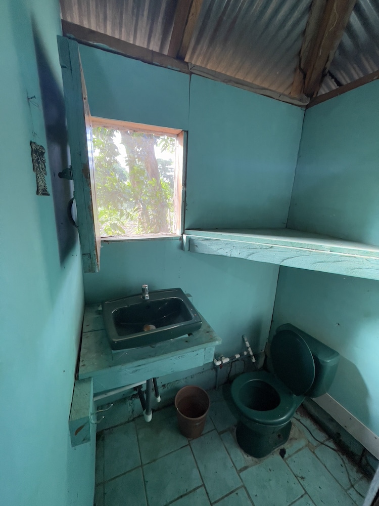 Photo 48