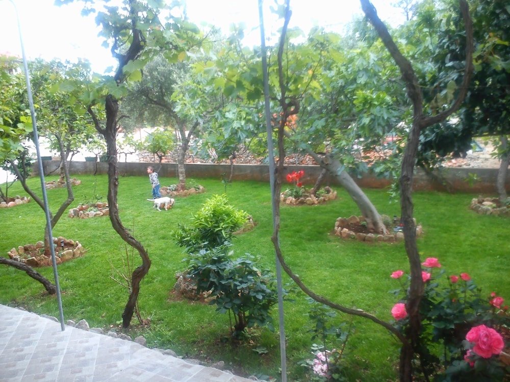 Photo 10