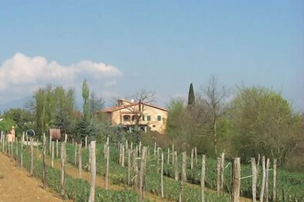 Fattoria Santa Lucia