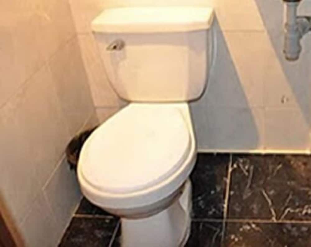 El Carnero Hostel - Property Image 5