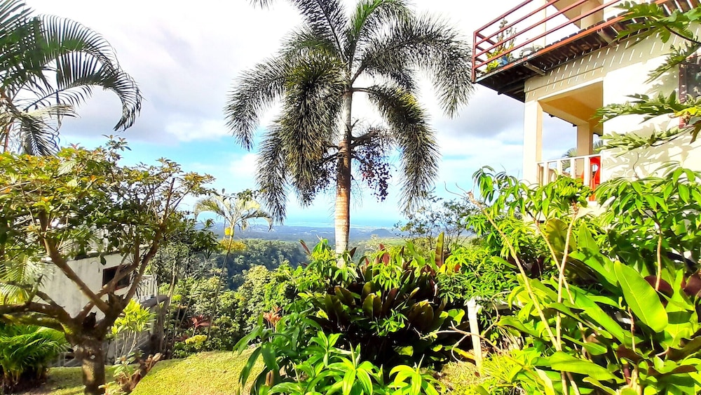 Dave Parker's Eco Lodge
