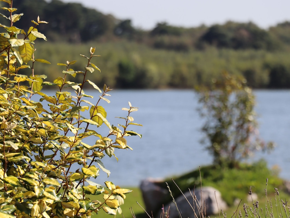 1 Delamere Point