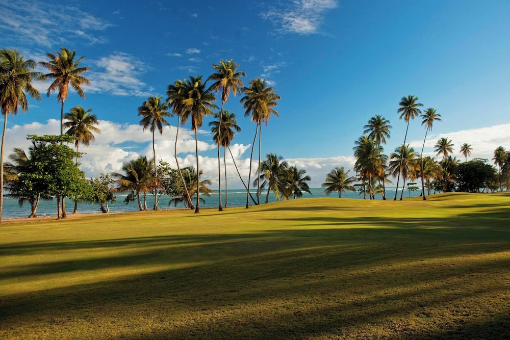 Four Seasons Resort and Residence Puerto Rico - Photo 43