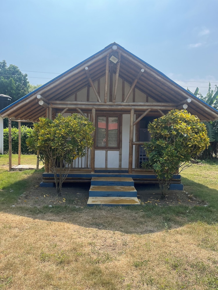 Tree of Life - Hostel