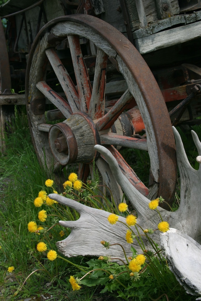 Photo 45