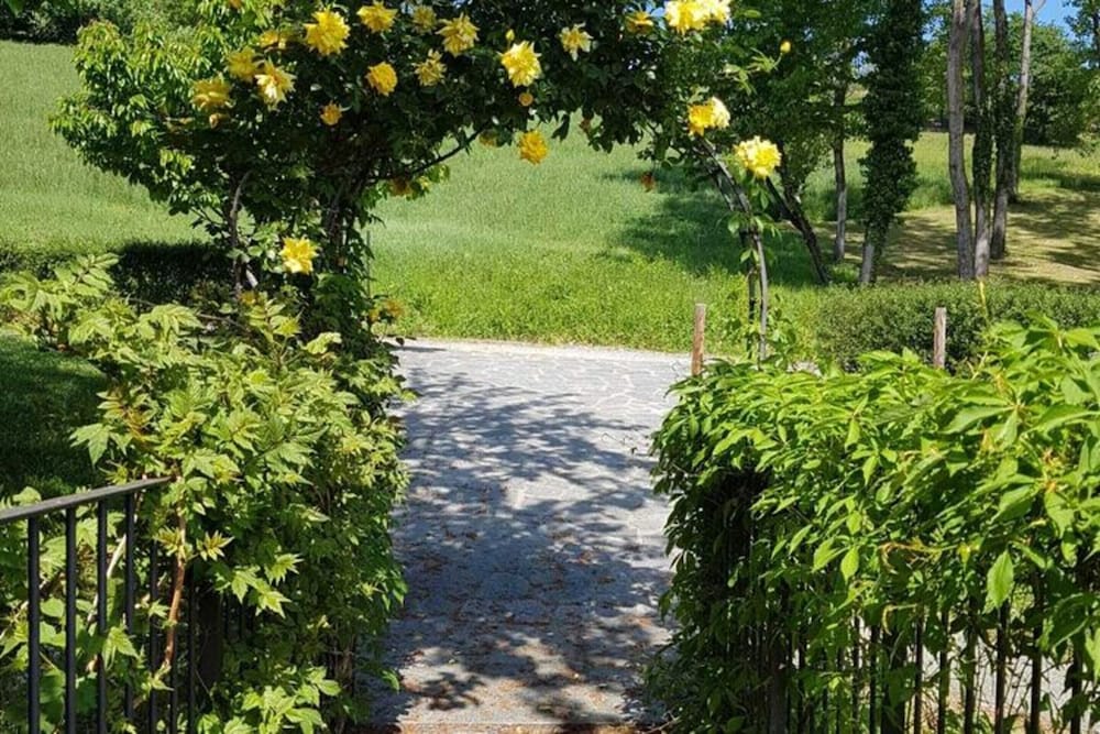 Mansion in Langhe Hills With Pool photo 3