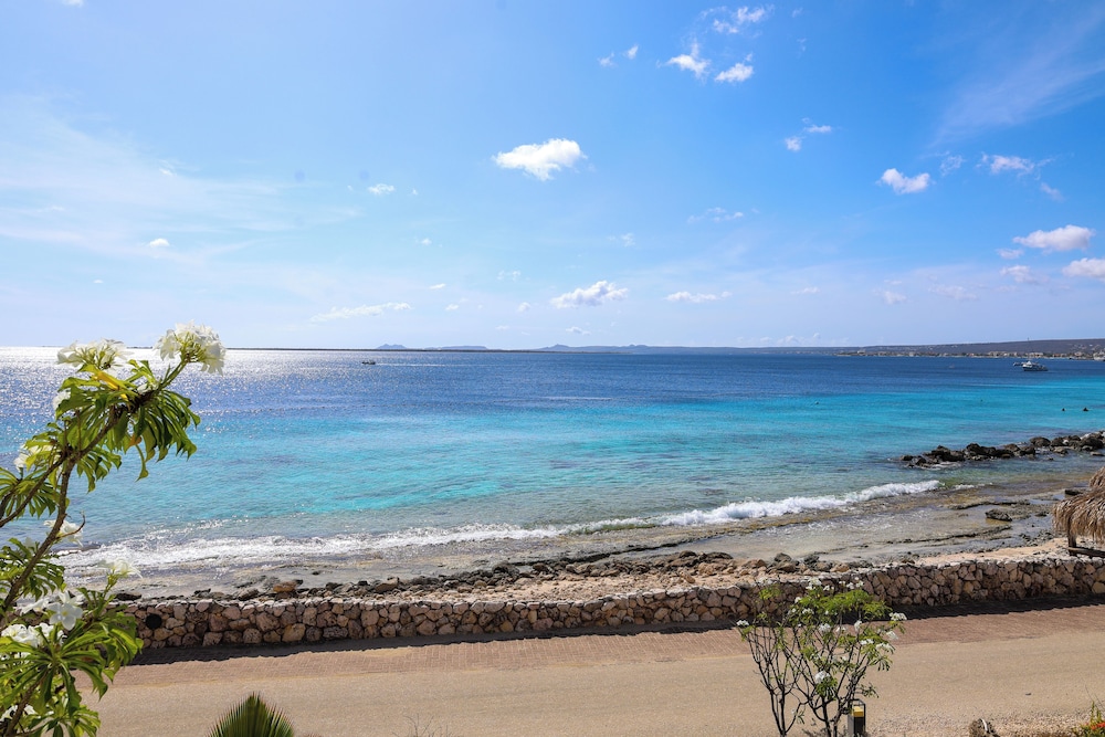 Van der Valk Plaza Beach & Dive Resort Bonaire - All Inclusive - Photo 38