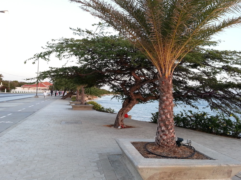 Le Chateau Ocean Villas