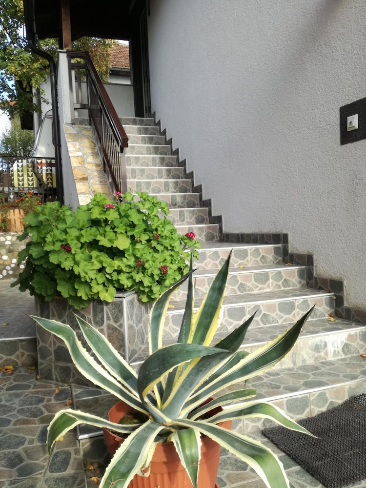 Guesthouse Denis