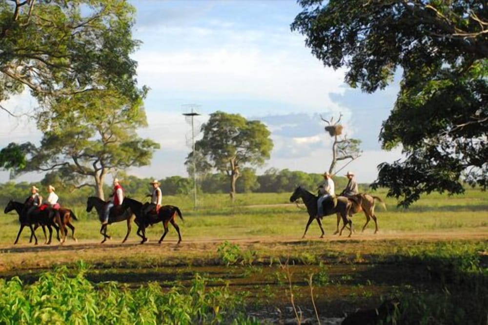 SouthWild Pantanal Lodge