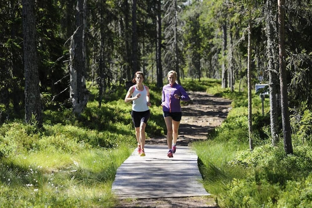 Orsa Grönklitt - Hostel