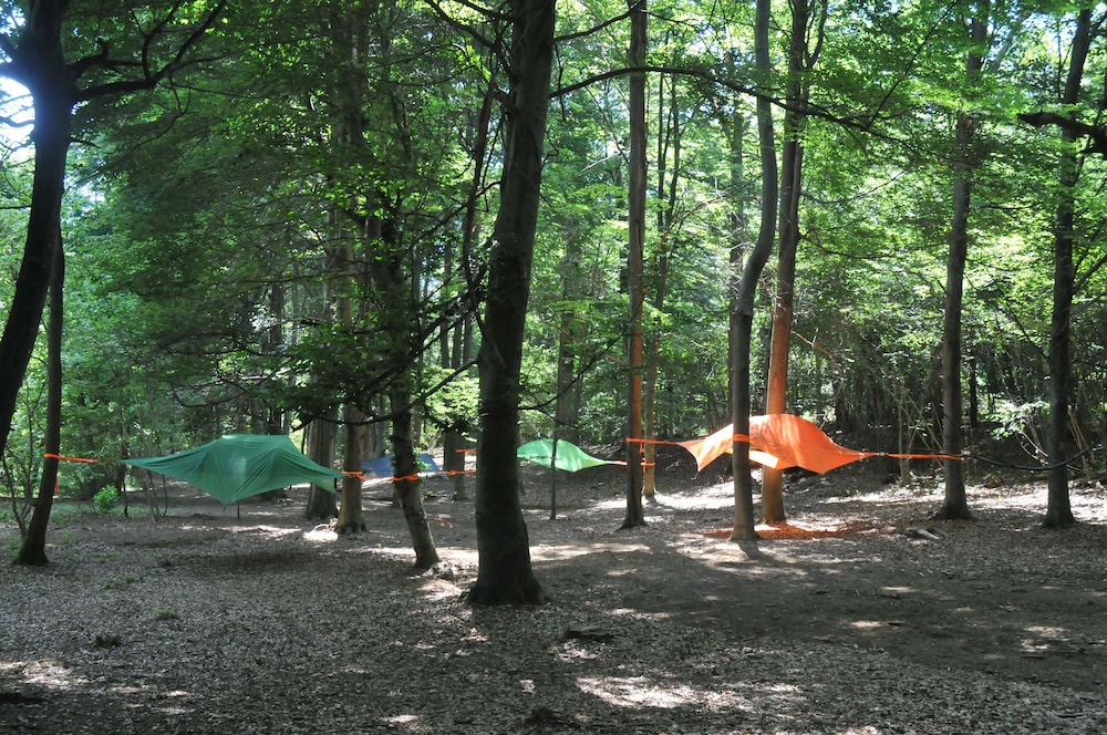 Future is Nature Playground photo 4