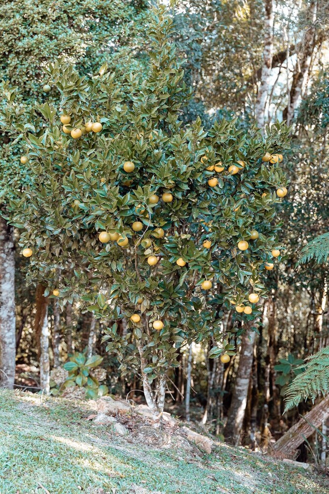 Recanto Lago Negro - Rancho Queimado