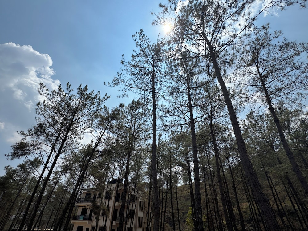 XTSY Travellers Hostel