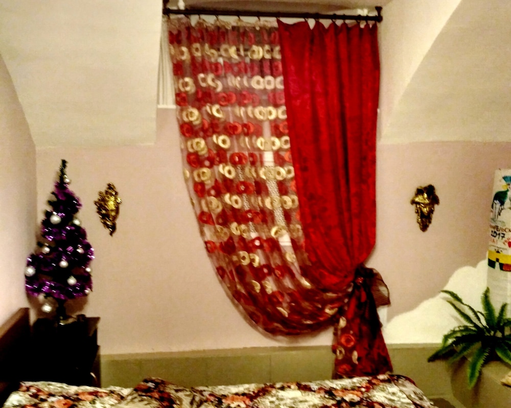 JUNGLE - Hostel