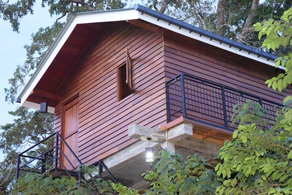 wilpattu Tree House view 4