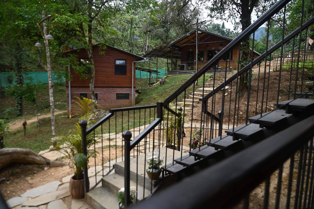RedPanda Jungle Camp