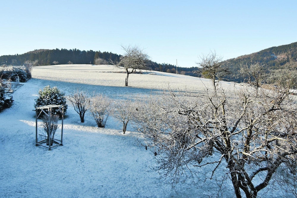 Apartment in Sallneck Near Nonnenmattweiher Lake