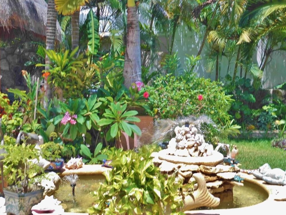 Casa Gatos