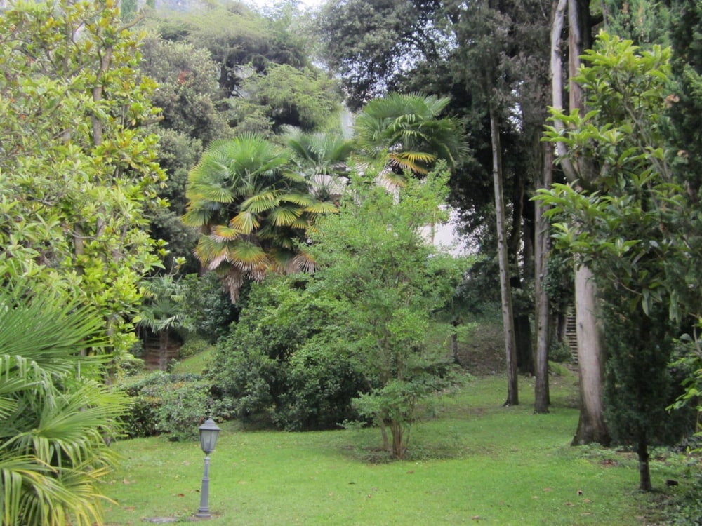 Exclusive Villa Dipped in a Wide Private Park, big Pool, on the Garda Lake view 3